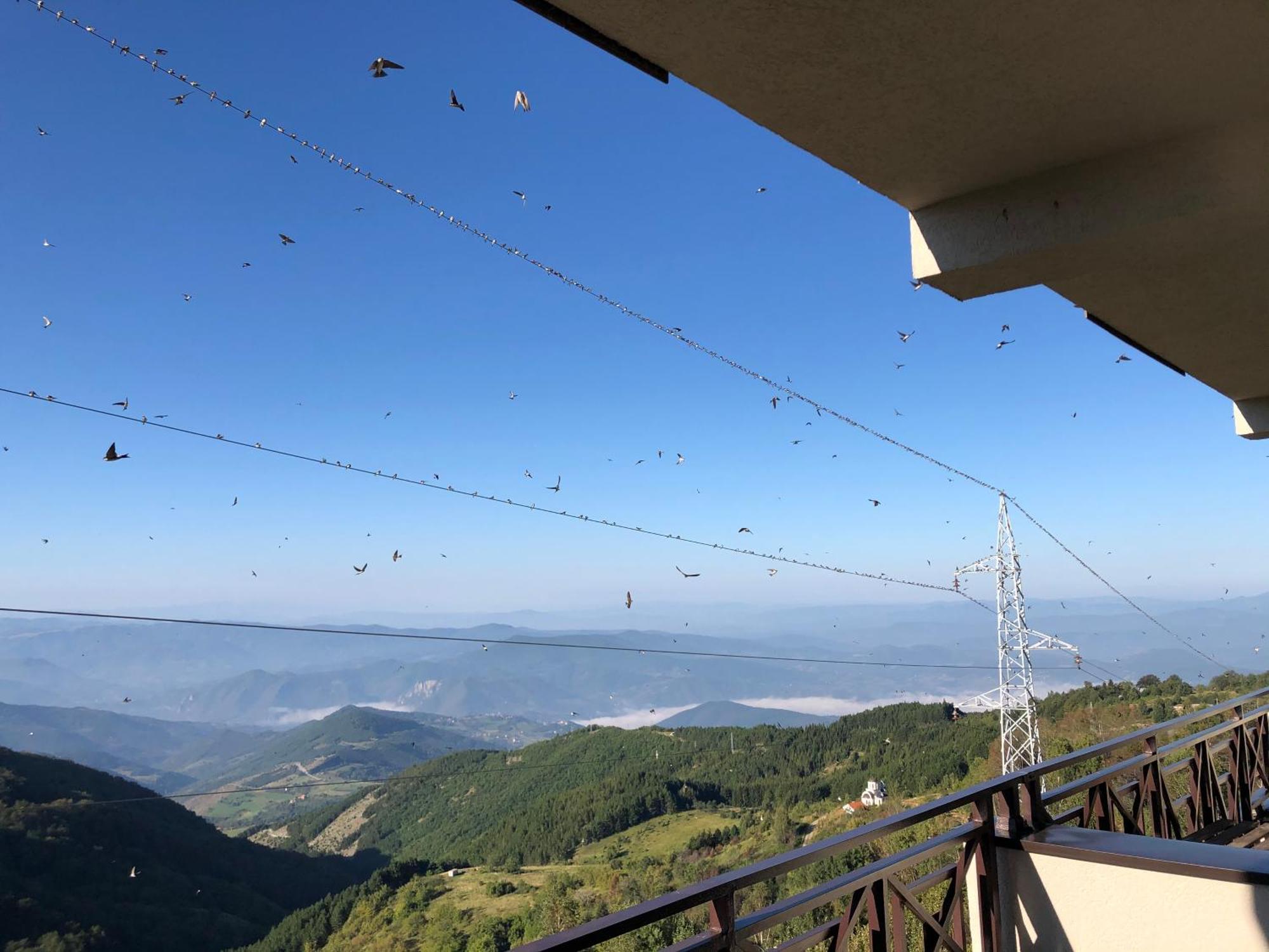 Appartamento Milmari M12 Kopaonik Esterno foto