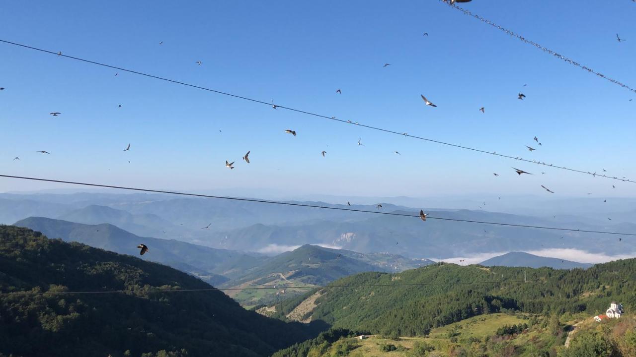 Appartamento Milmari M12 Kopaonik Esterno foto